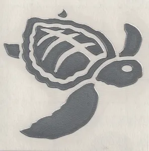 IB Turtle